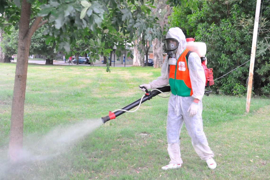 Fumigation Services in Islamabad and Ensuring pest control service