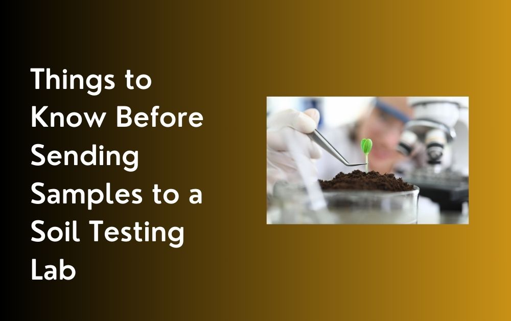 Things to Know Before Sending Samples to a Soil Testing Lab