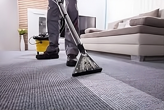 Rug Rescue: Top Carpet Cleaning Solutions for a Fresh Home